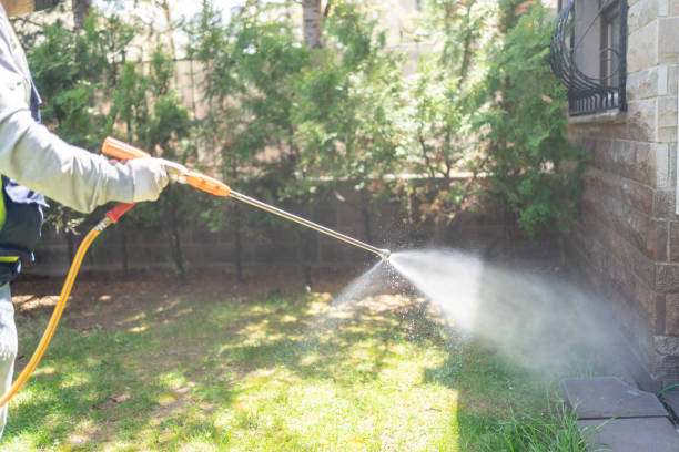 Best Pest Prevention Services  in Newkirk, OK