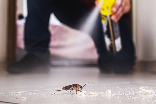 Best Exterminator Services  in Newkirk, OK