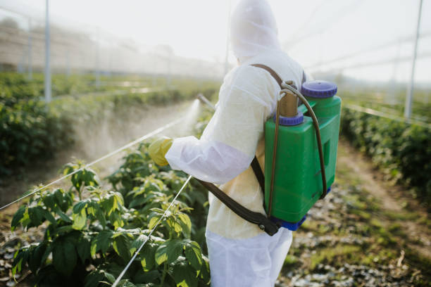 Pest Control for Restaurants in Newkirk, OK